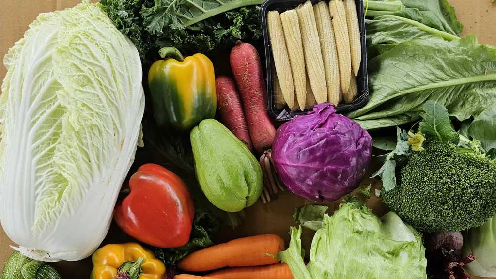 Thuadai Organic Farm School