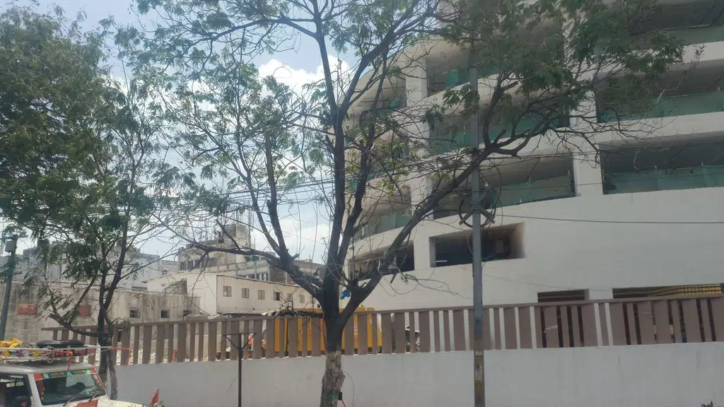 GGPS Mahbubia