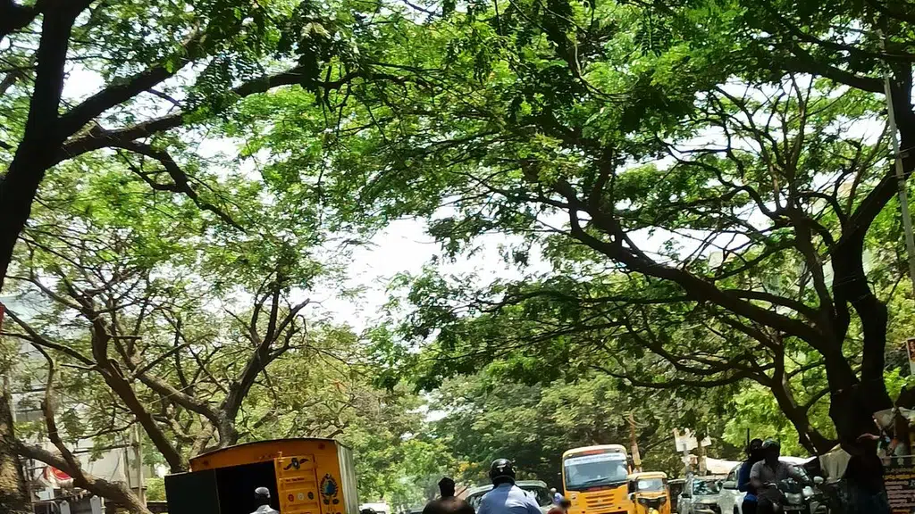MedPlus Madhavaram Milk Colony