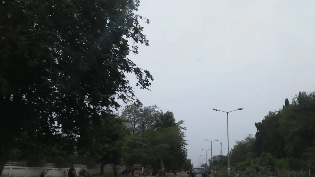 Government Science College