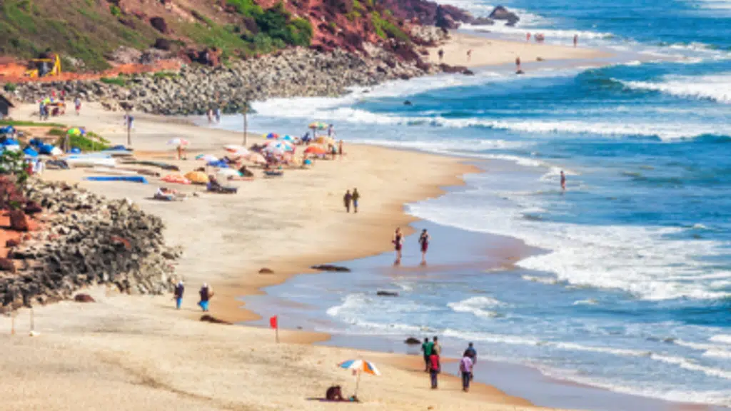 Alfa India Tours And Travels Pvt Ltd