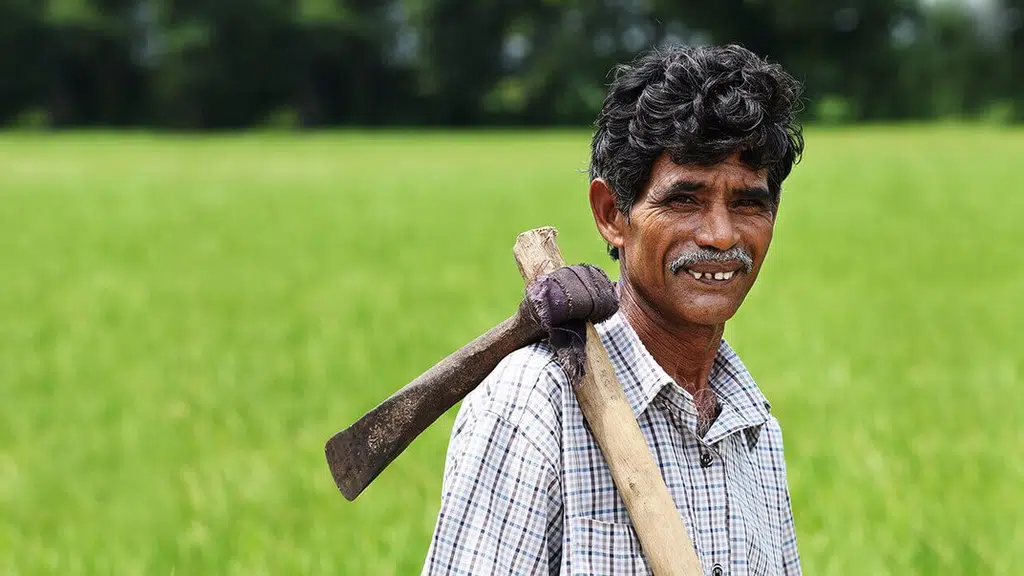 Nandi Fertilizers