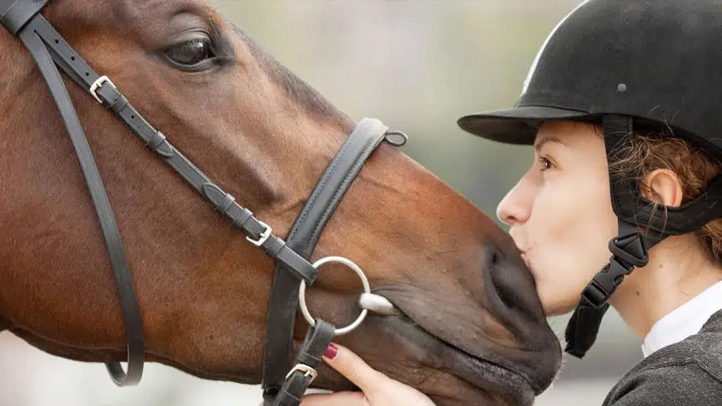 H&G Saddlery