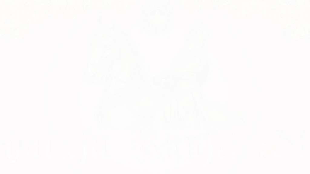 Maharaja Ranjit Singh Panaroma