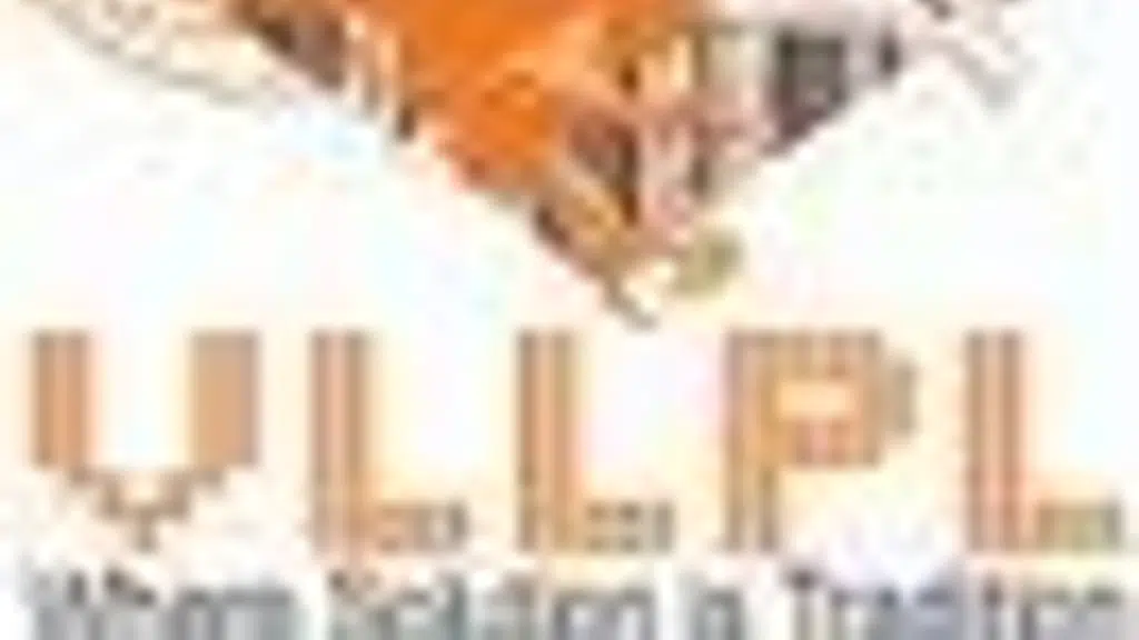 Vijay Laxmi Labels
