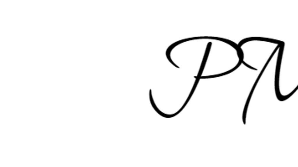 SAINA Video Vision