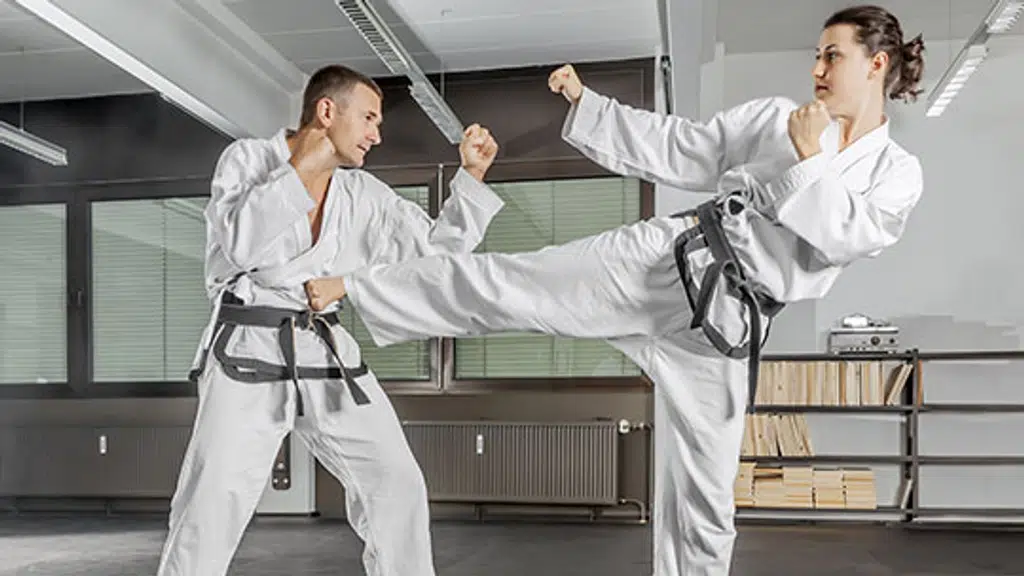 Martial Art Academy of India