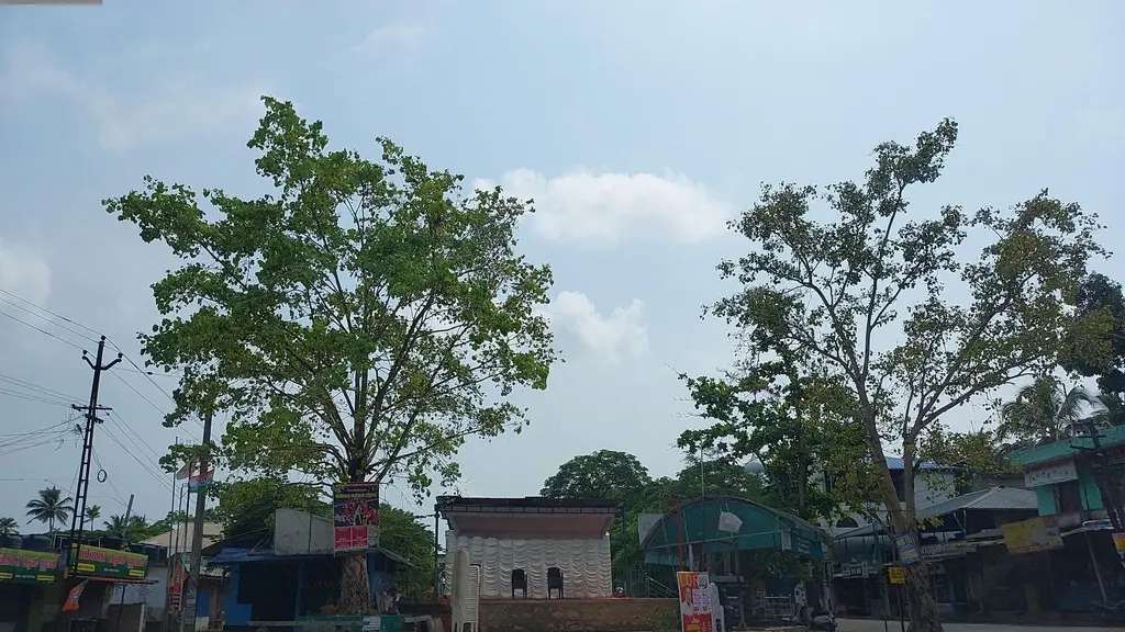 Peoples Urban Cooperative Bank