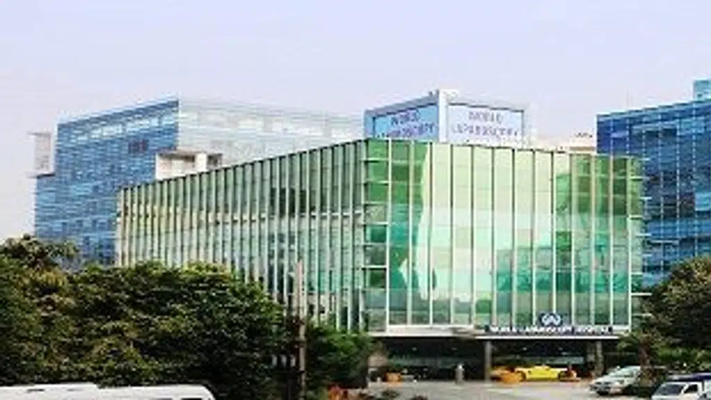World laparoscopy hospital