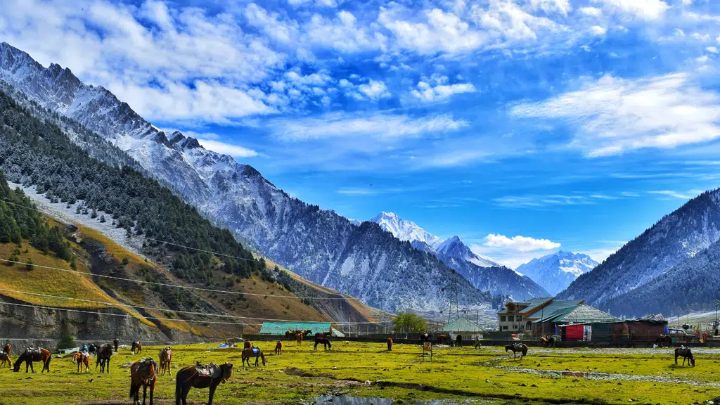 Travel Shivang