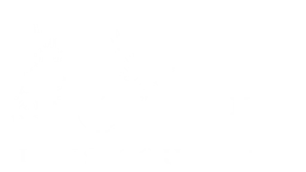 Wings Designs Couture