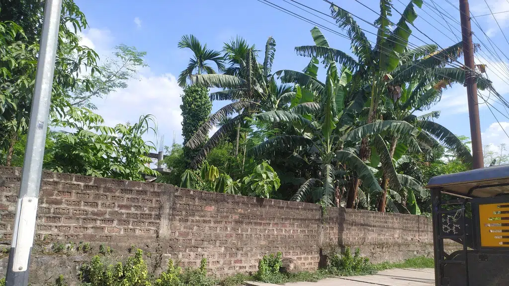 Blue Birds' English School, Guwahati