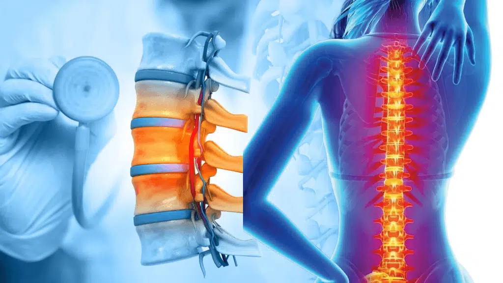 Bodycare chiropractic & spine centre