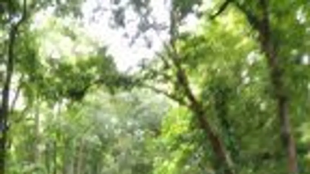 Centre for Analytical Instrumentation Kerala (CAI-K)