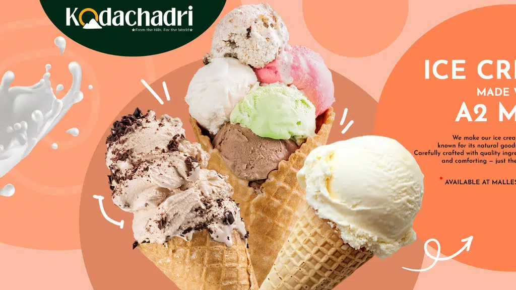Kodachadri organics