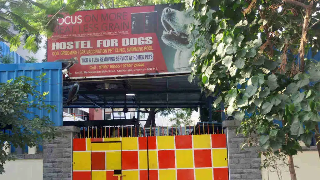Hostel for Dogs