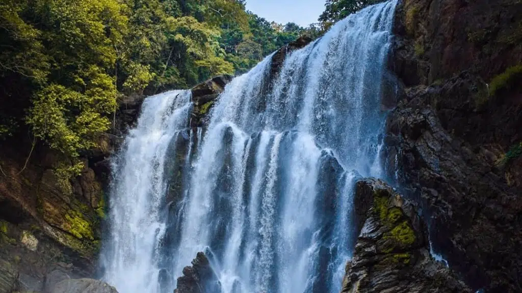 Dandeli Resorts Bookings