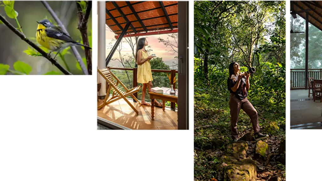 Vythiri Mist Resort