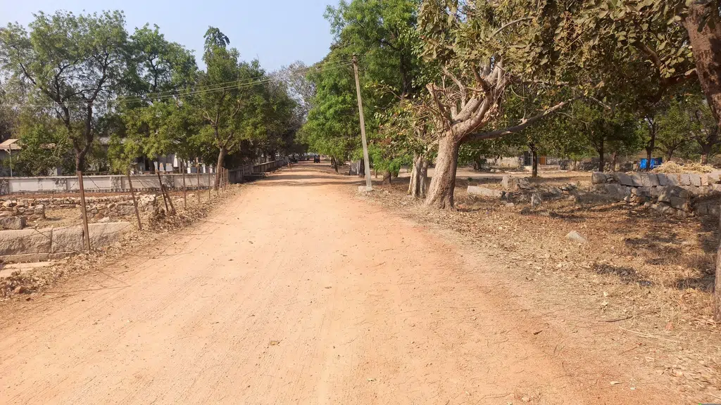 Pan Supari Bazaar