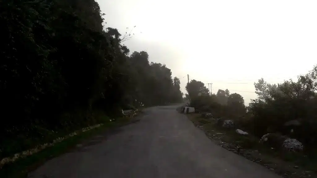 TNF Nature Stay Shimla