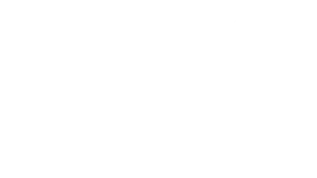 W2S Solutions