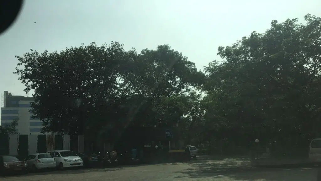 Domino's Pizza | Mindspace Airoli Mumbai