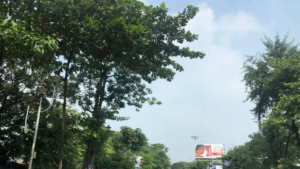 Deal N Drive