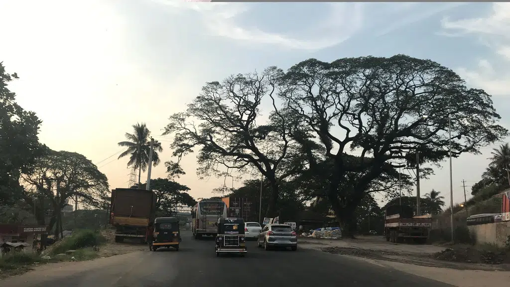 Kavoor Vyavasaya Seva Sahakari Bank Niyamitha