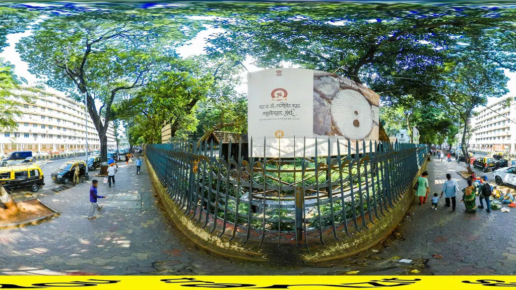 JJ College Mumbai CST Area
