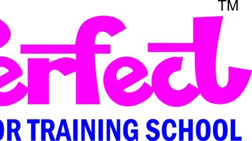 Perfect Motor Training Centre