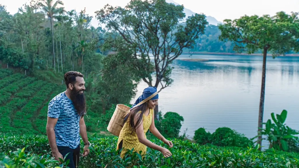 NoQ Services Holidays & Travels Wayanad