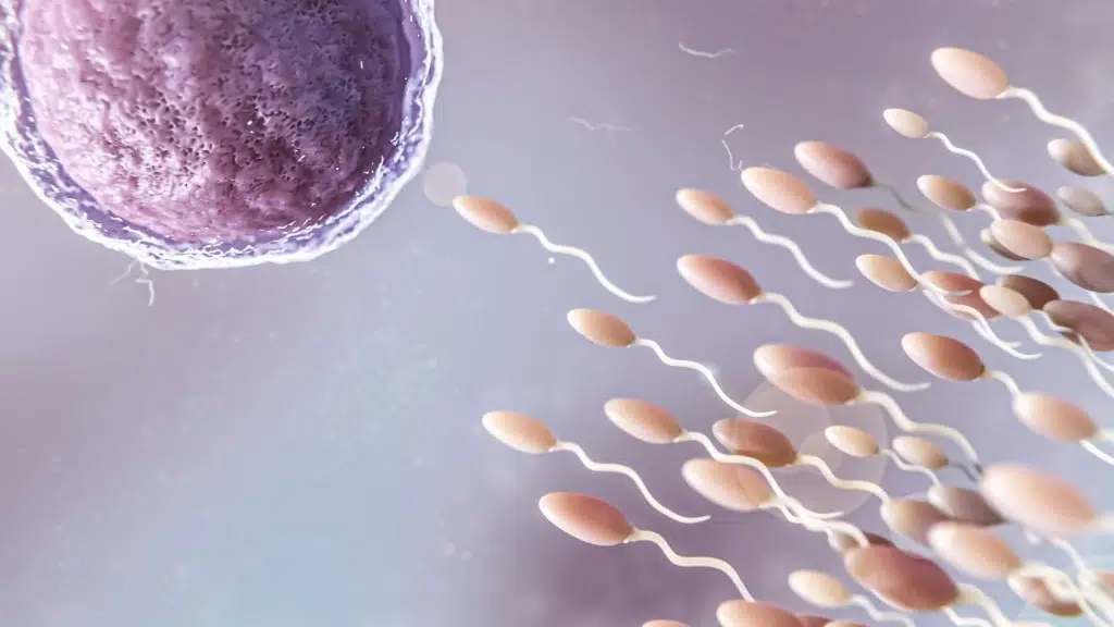 Dr. Sonali Gupta - The Bliss IVF and Gynae Care