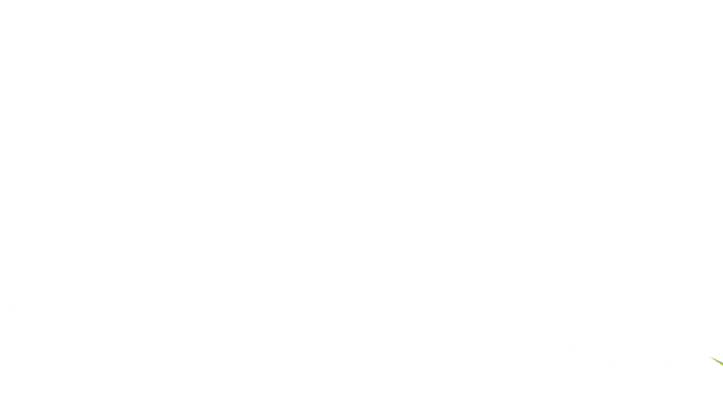 Nayagara Hotels