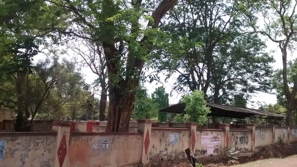OYO 4638 Ankita Residency