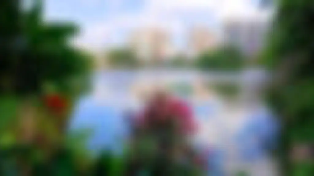 Puttenahalli Neighbourhood Lake Improvement Trust