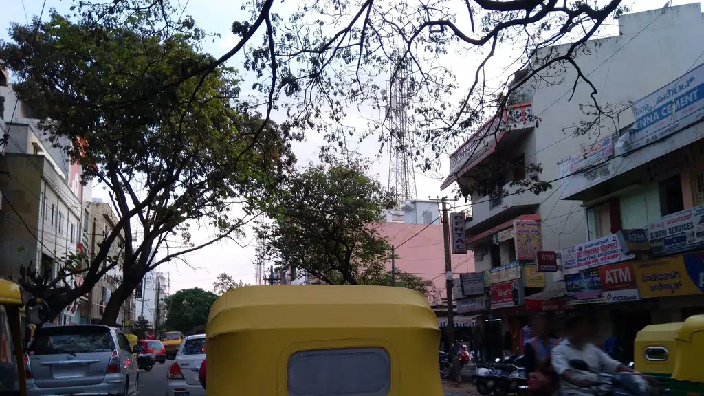 Shree Raaga Music school