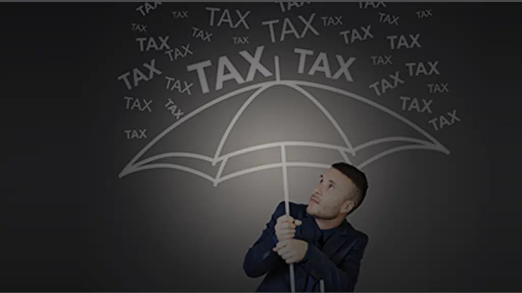 The Tax Consultant