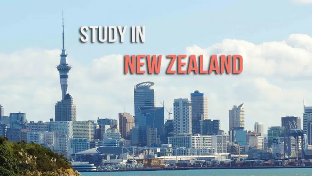 Rapid Education & Visa Consultants | Best Student agent