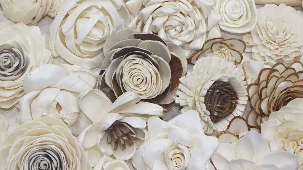 World Dried Flowers