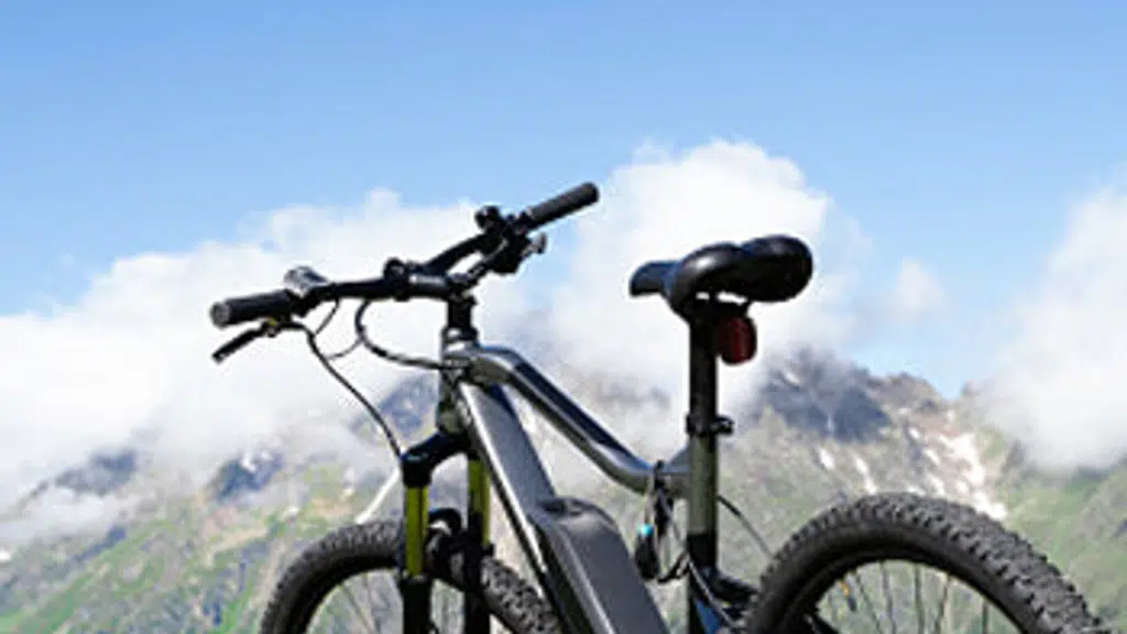 Lion EV | E Bike Spares Parts Accessories Hub Motor Sales & Service