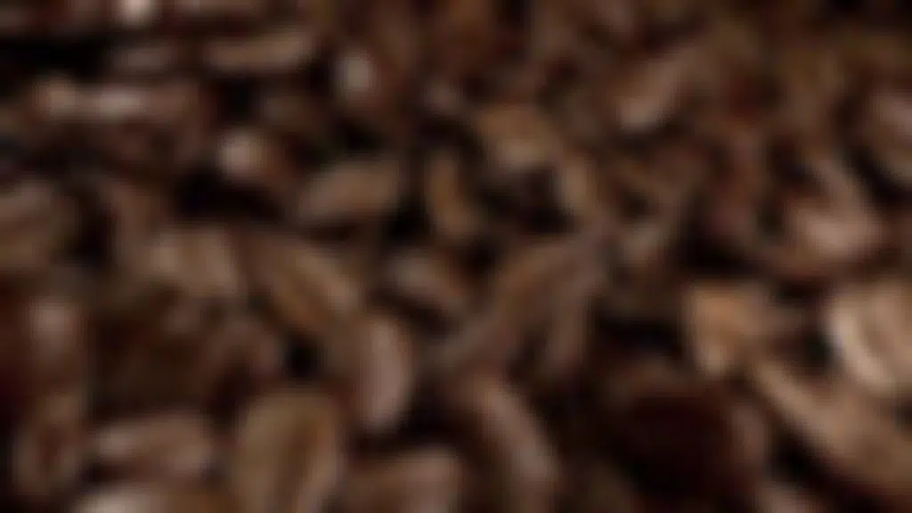 Kettleberry Store