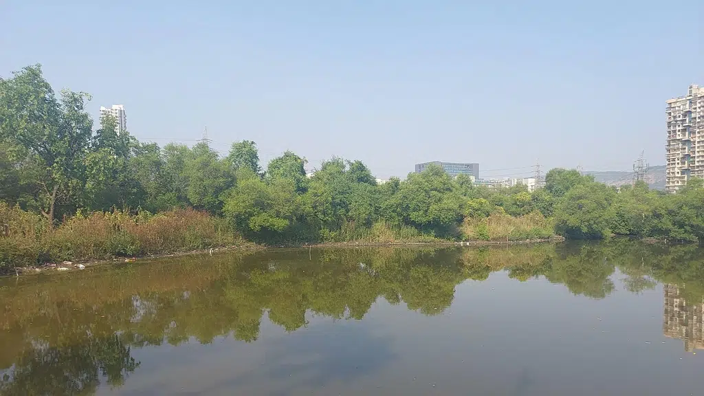 Airoli Koliwada Jetty