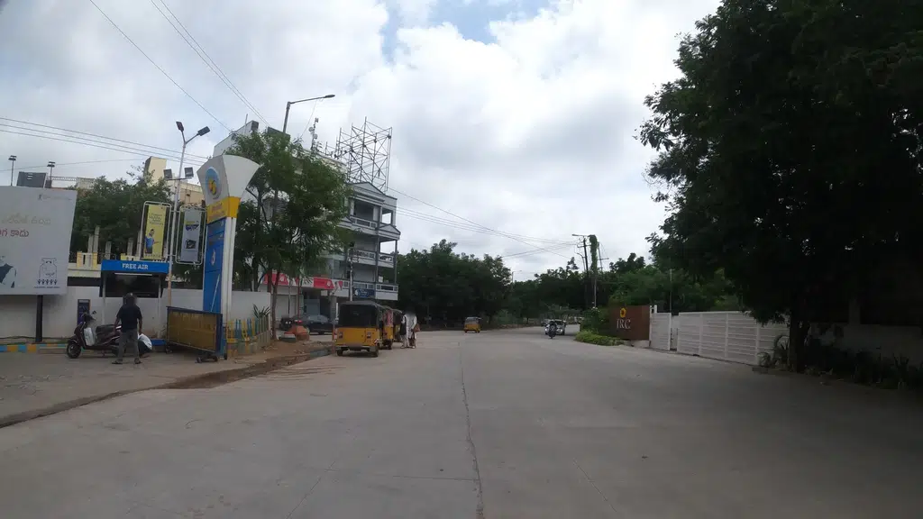 Papaya Hyderabad