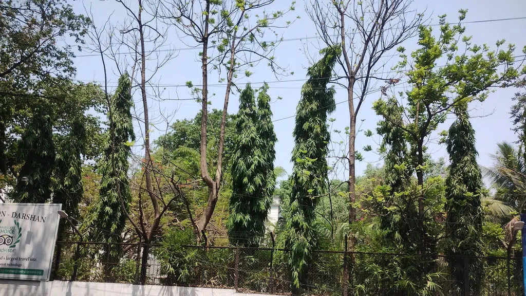 Hazrat Paanch Peer Baba Dargah