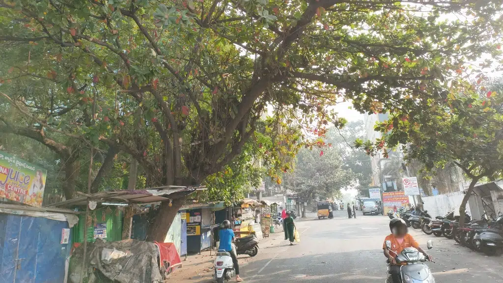 MVS Silver Park