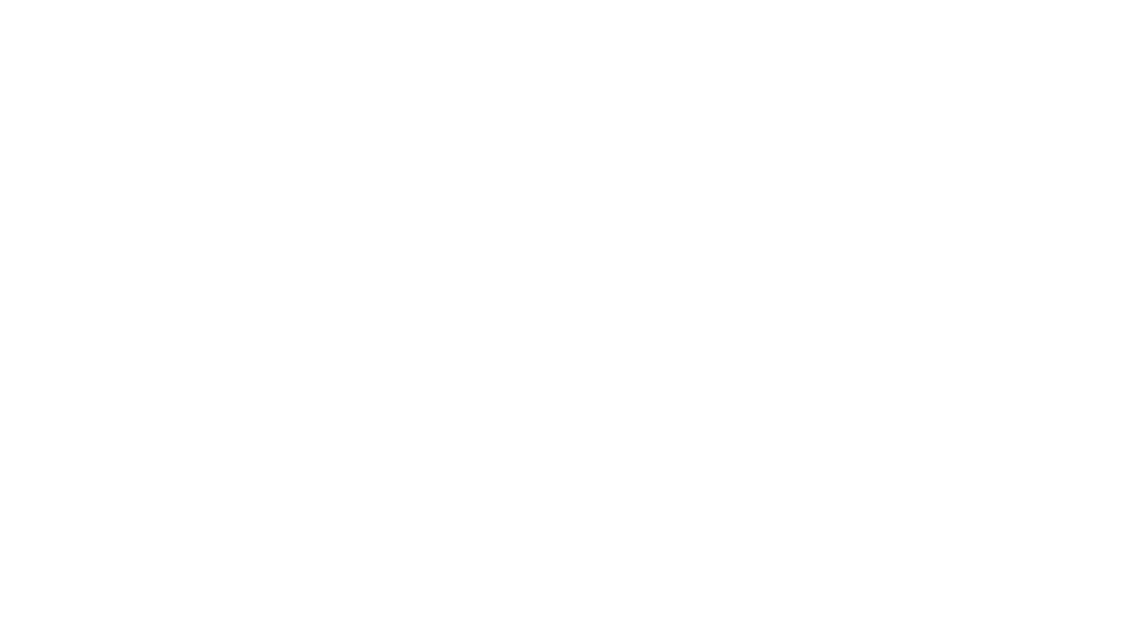 DI Infotech Leaders Private Limited