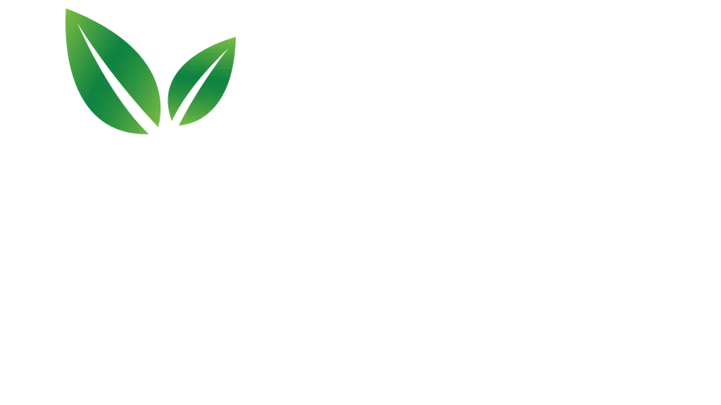 Anjana Handicrafts