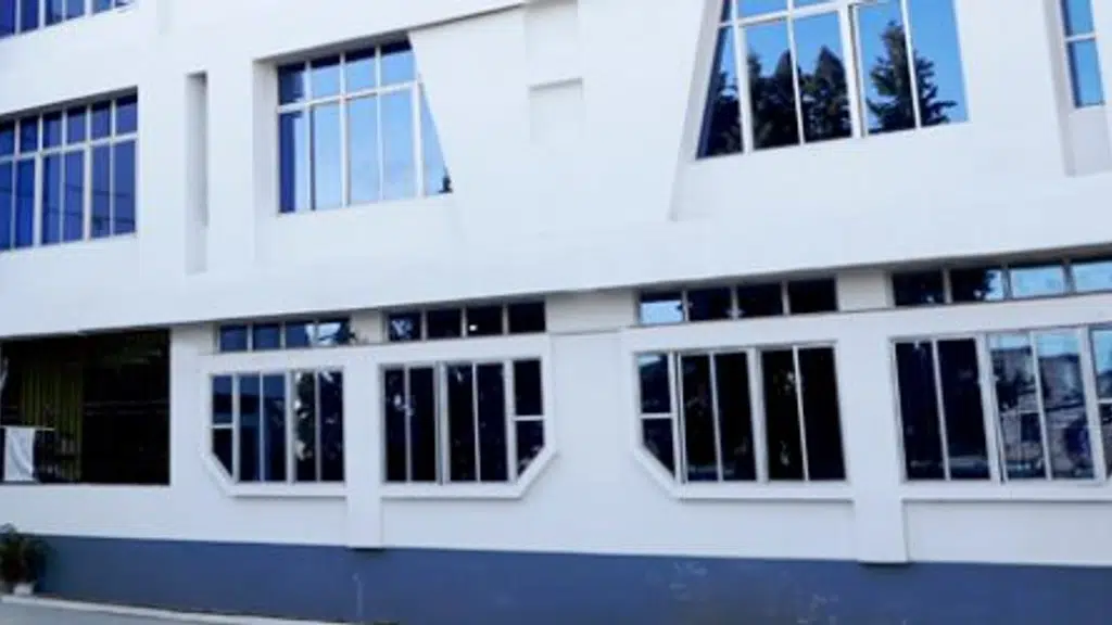 Millennium Institute of Science