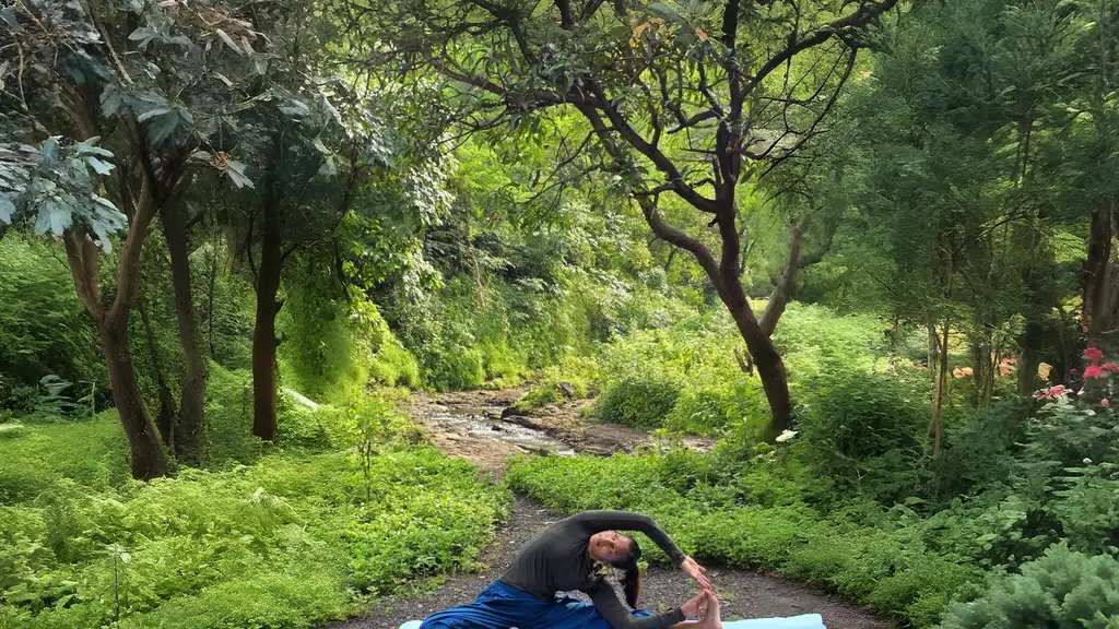 Feel & Heal Yoga