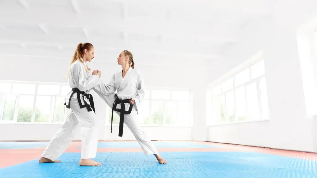 Black Panther Karate Tai Kyu Do Martial Arts